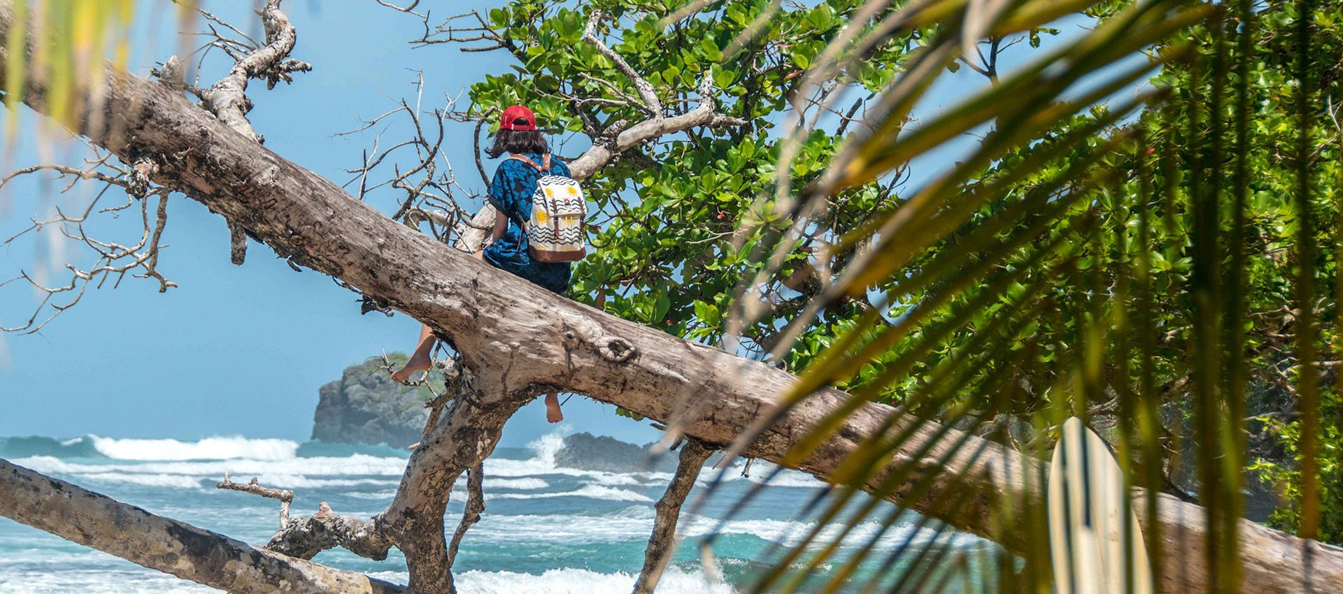 Fallen trees on the beach serve as the perfect lockout to check on the waves and to chill.