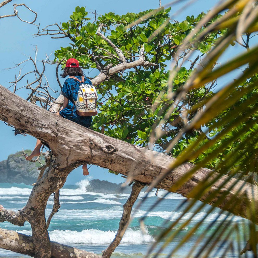 Fallen trees on the beach serve as the perfect lockout to check on the waves and to chill.