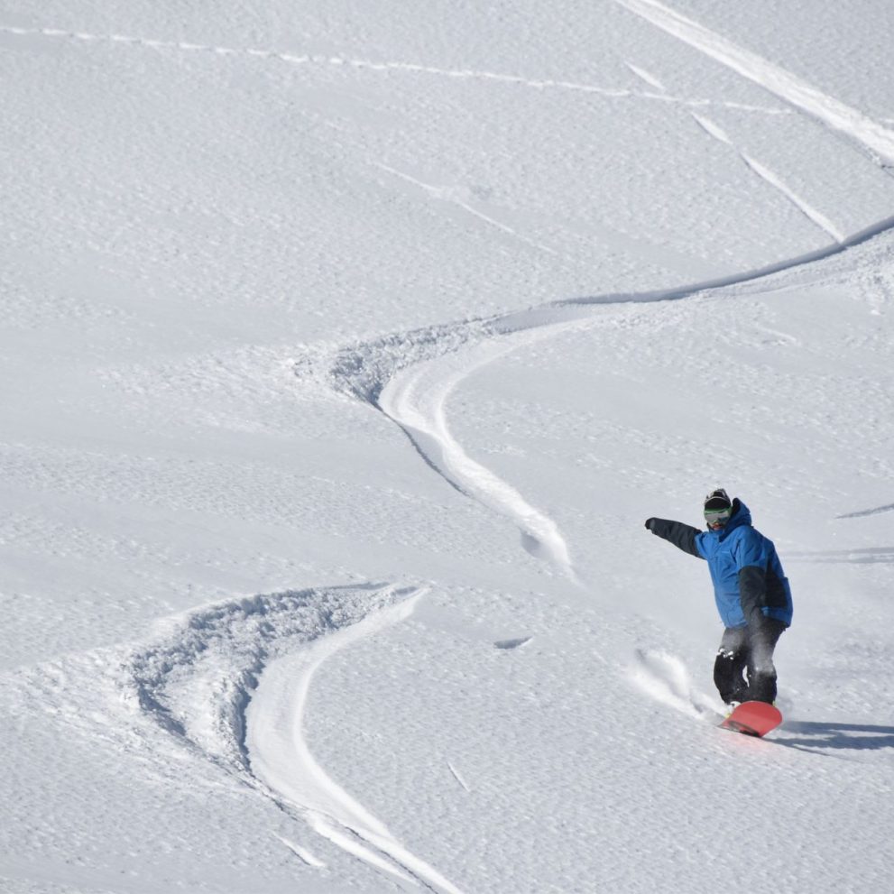 Enjoying the virgin snow, carving down is just like drawing lines on a blank canvas.