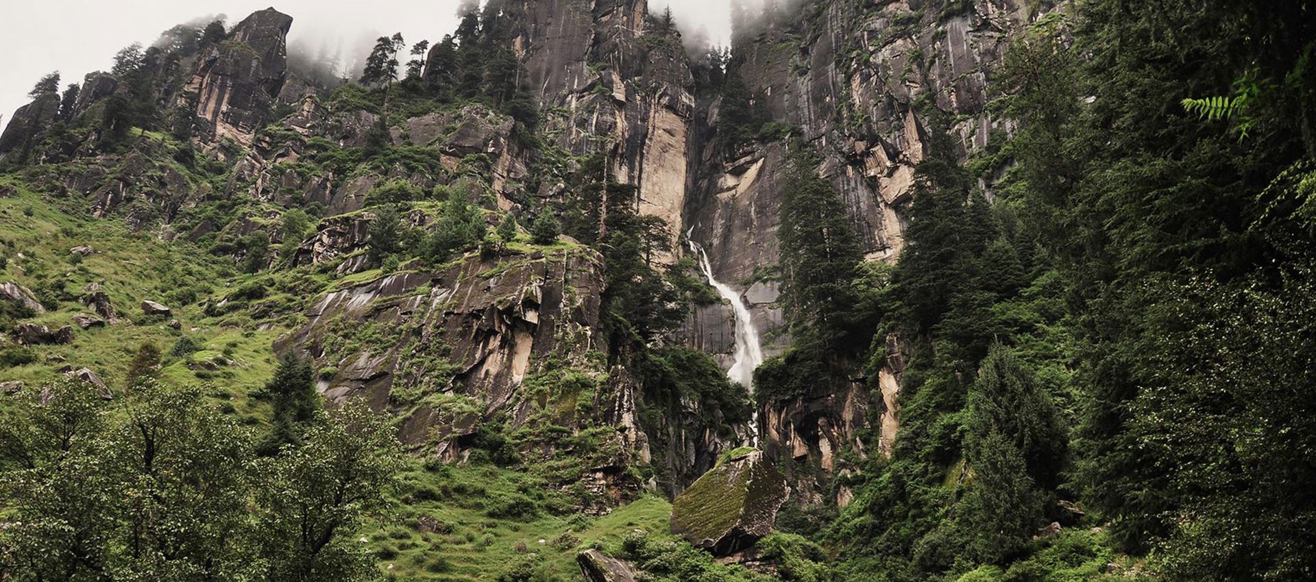 The landscape in Manali is a mix of rainforest with giant pine trees.