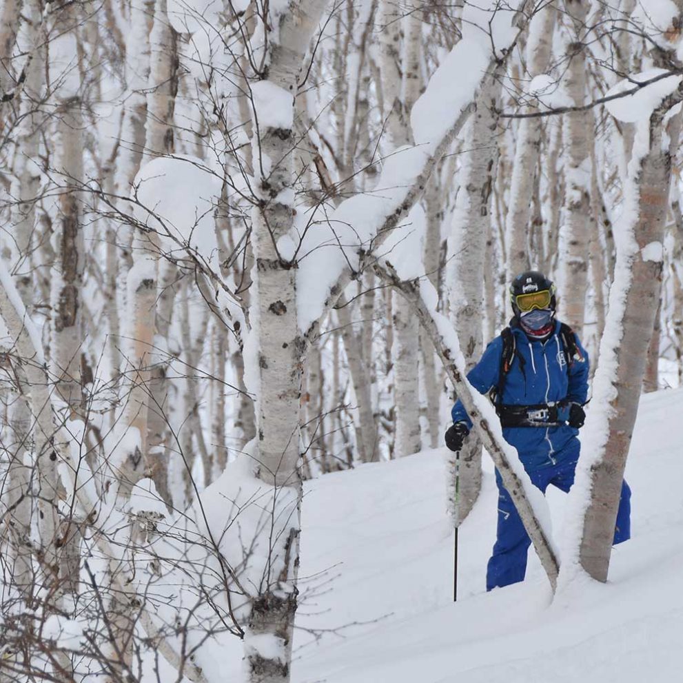 Birch forest trails provide the best natural slalom track.