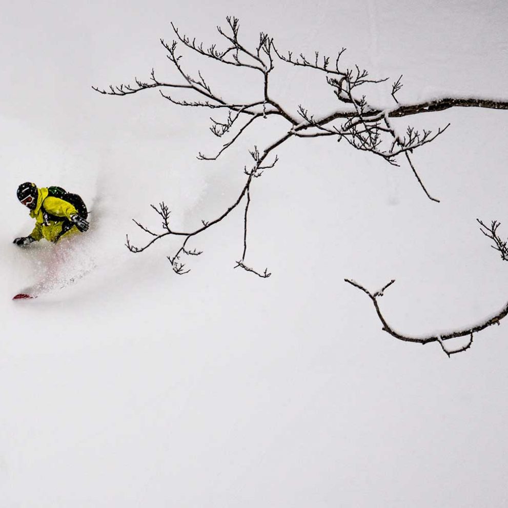 Just glide in the powder snow and make every turn look perfect.