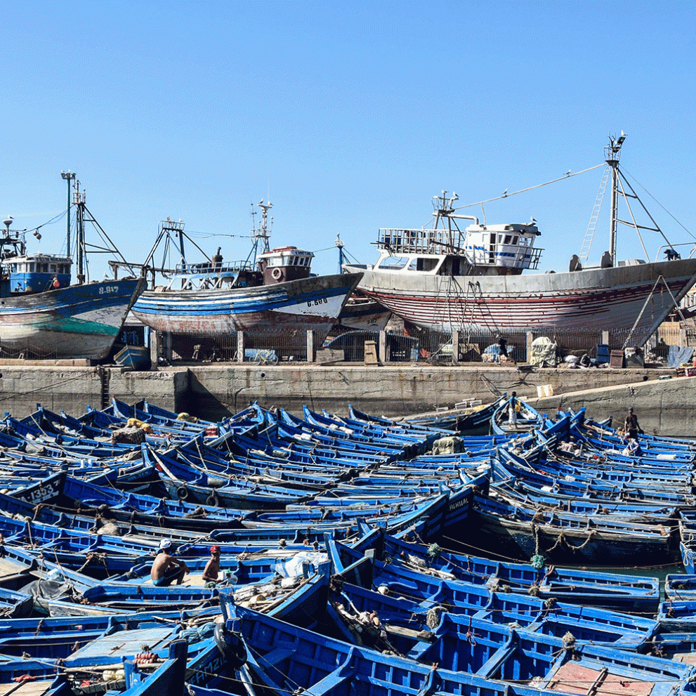 Freshness of the catch is guaranteed since fishing is one of the main industries in Morocco.