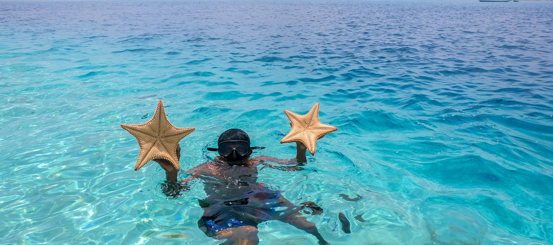 Starfish everywhere, you just need to dive down and choose one.