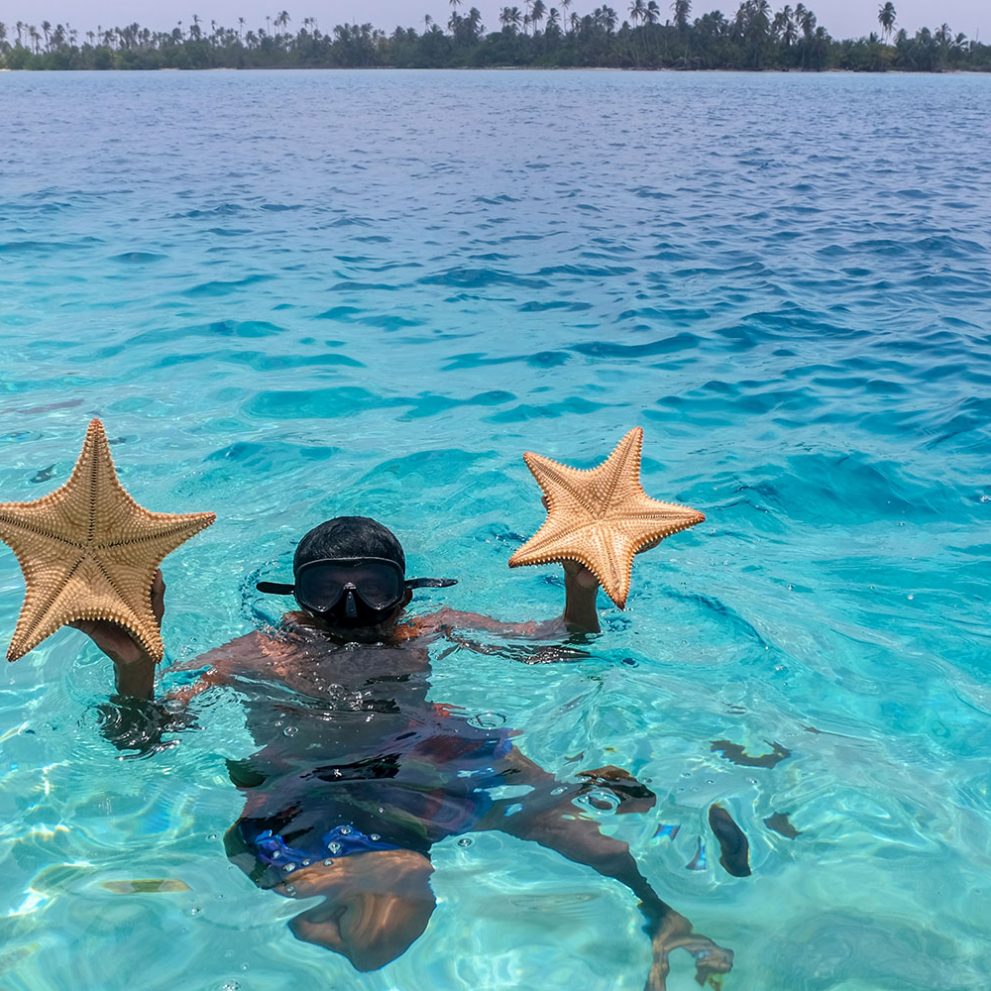 Starfish everywhere, you just need to dive down and choose one.