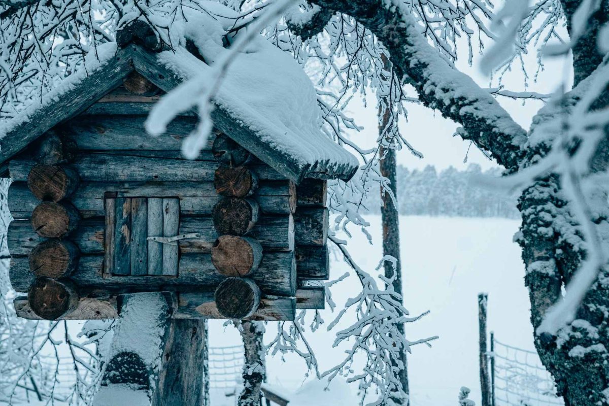 GoBeyond_Lapland_Stories