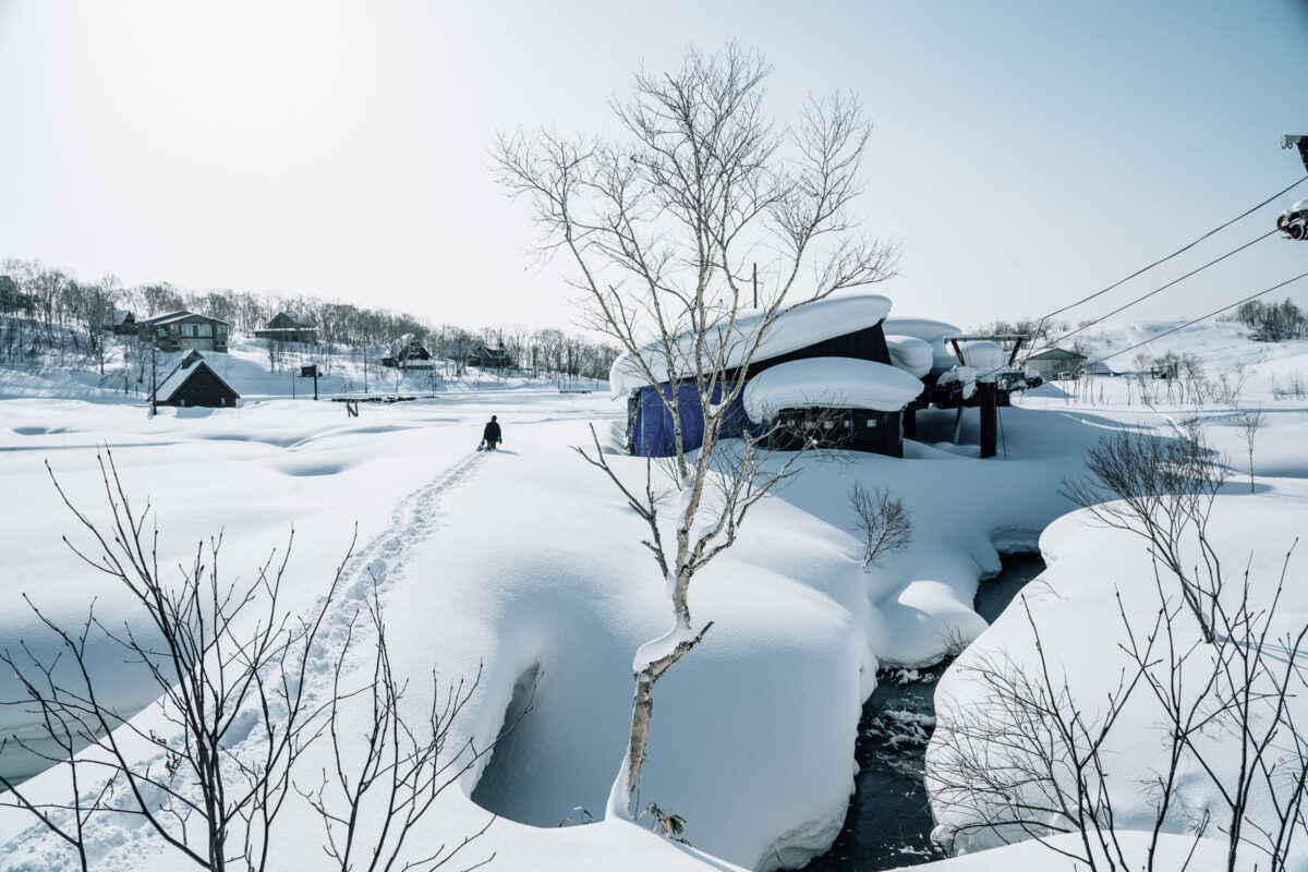 GoBeyond Japan Freeride ski snowboard